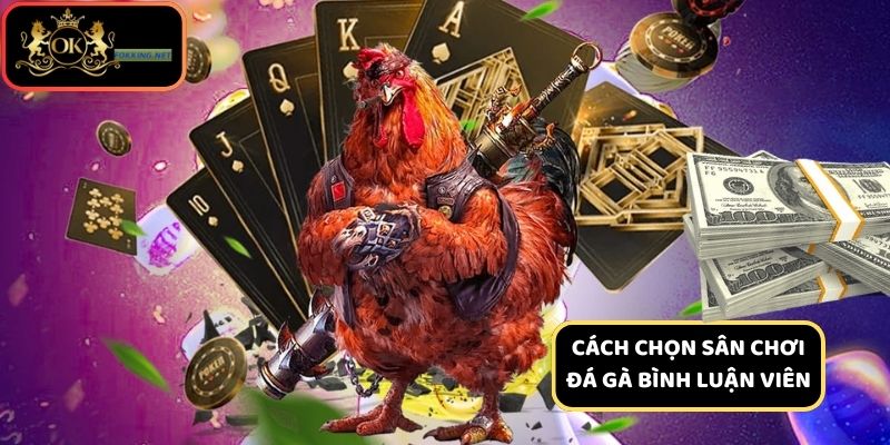 Hướng dẫn cách chọn sân chơi đá gà bình luận viên chất lượng