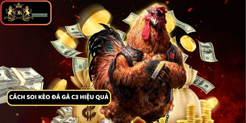 Mẹo để cá cược đá gà c3 hôm nay hiệu quả