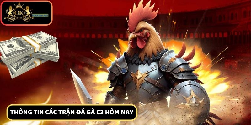 Thông tin về các trận đá gà c3 hôm nay