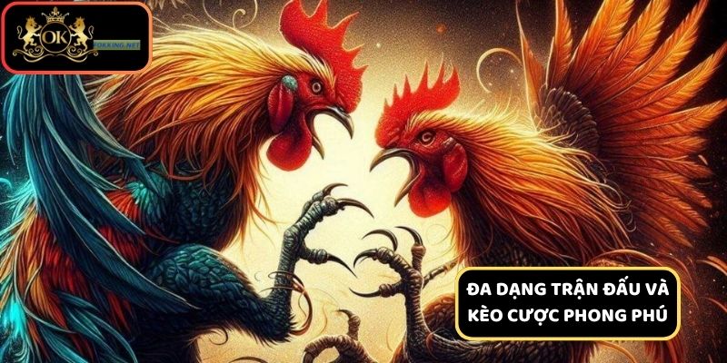 Cơ hội kiếm tiền hấp dẫn với các kèo cược phong phú