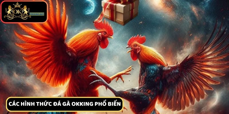 Người chơi lựa chọn đa dạng các hình thức đá gà tại Okking