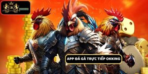 App Đá Gà Trực Tiếp – Trải Nghiệm Thú Vị Mọi Lúc, Mọi Nơi